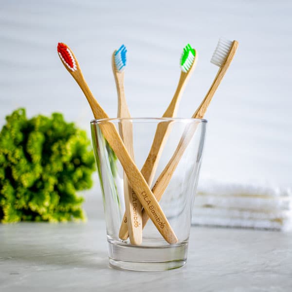 Bamboo Toothbrush
